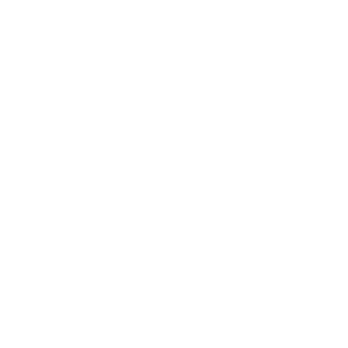 Lorz Service
